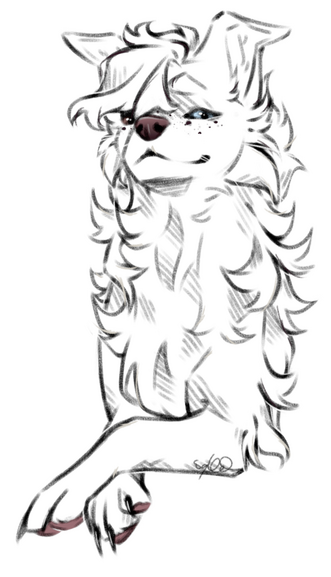 halfbody